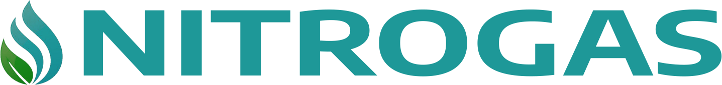website logo